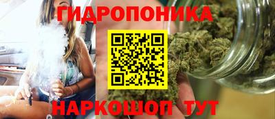 эйфоретик Гатчина