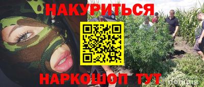 спайс Гагарин