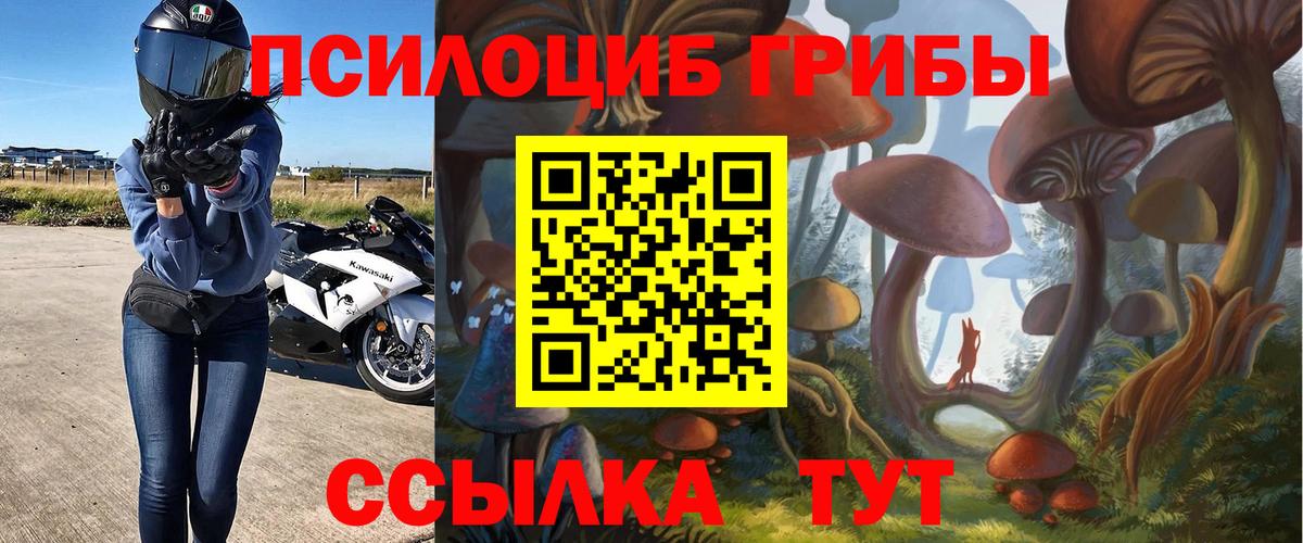 Псилоцибиновые грибы GOLDEN TEACHER  Галлюциногенные грибы Psilocybe  Вход с VPN  Балашиха 